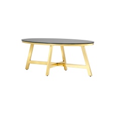 Журнальный стол Stool Group Альба 100*50 черное стекло/сталь золото УТ000004641