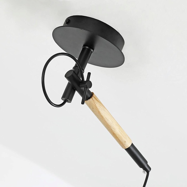Подвесной светильник F-Promo Eureka 3006-1P Фото № 3