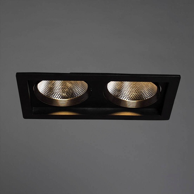 Встраиваемый светодиодный светильник Arte Lamp Privato A7007PL-2BK Фото № 2