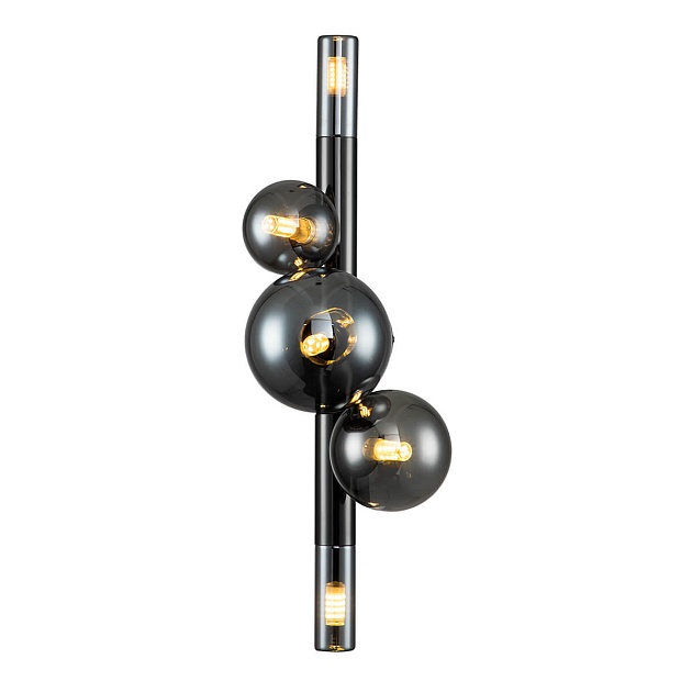 Бра Indigo Canto 11026/5W Black V000242 изображение Бра Indigo Canto 11026/5W Black V000242 Фото №