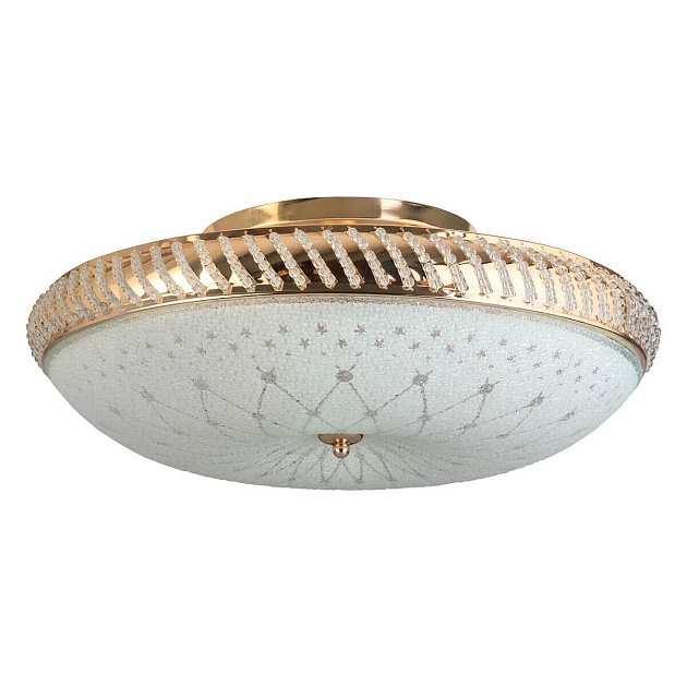 Накладной светильник Toplight Loreen TL1492Y-05GC Фото № 