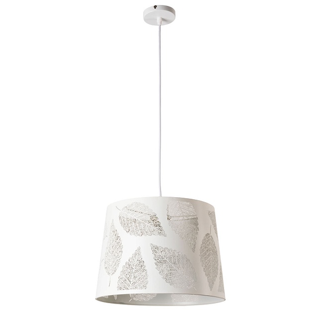 Подвесной светильник Arte Lamp Celesta A2768SP-1WH Фото № 