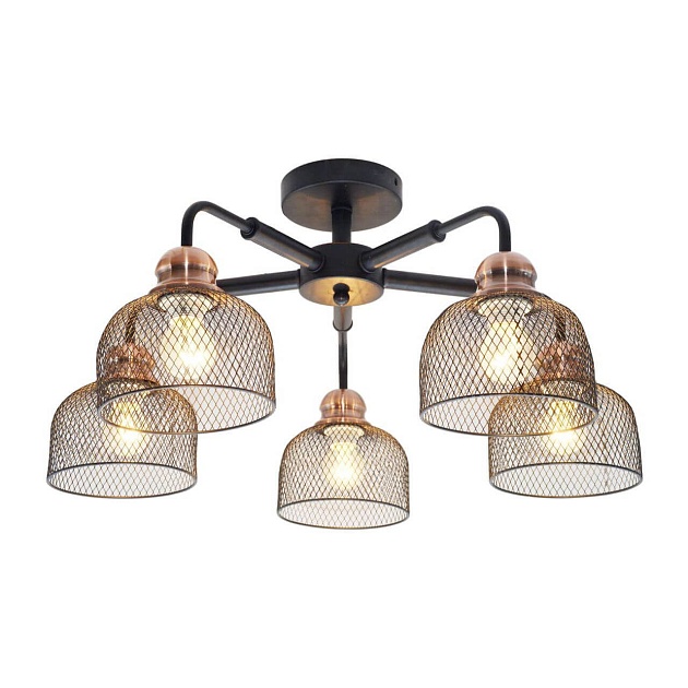 Потолочная люстра Toplight Griselda TL1158-5D Фото № 
