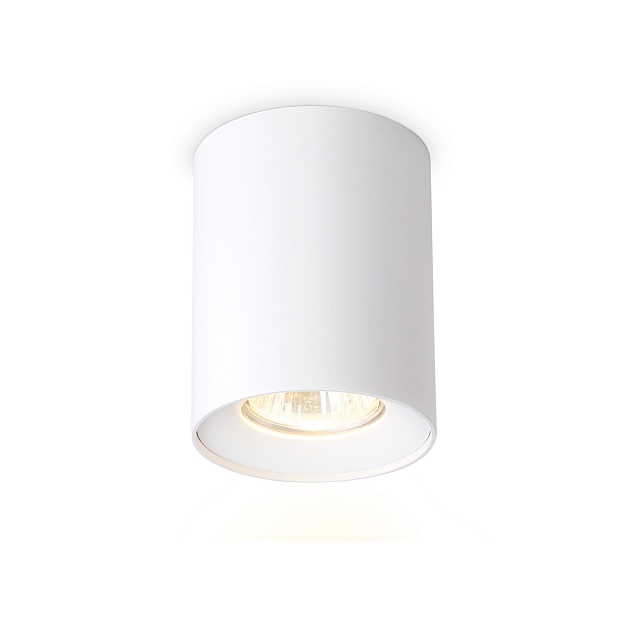 Накладной светильник Ambrella light Techno Spot Techno TN213136 Фото № 