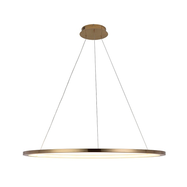 Подвесной светодиодный светильник Loft IT Ring 10014XL Фото № 