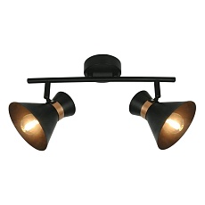 Спот Arte Lamp Baltimore A1406AP-2BK 2
