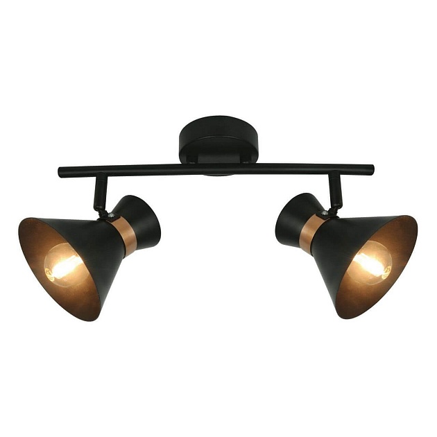 Спот Arte Lamp Baltimore A1406AP-2BK изображение 3 Спот Arte Lamp Baltimore A1406AP-2BK Фото № 3