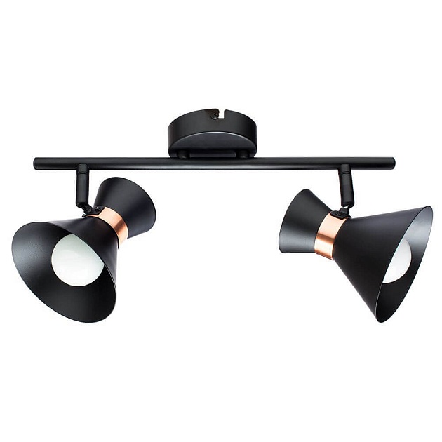 Спот Arte Lamp Baltimore A1406AP-2BK изображение Спот Arte Lamp Baltimore A1406AP-2BK Фото №