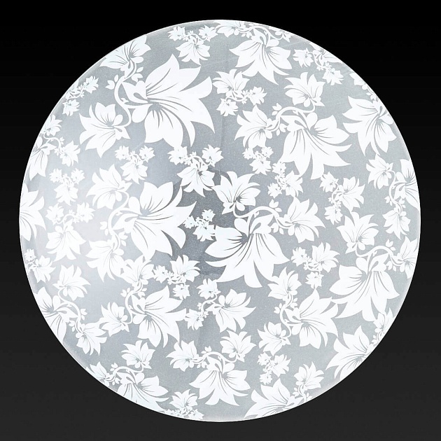 Настенный светильник Toplight Primrose TL9064Y-02WH Фото № 2