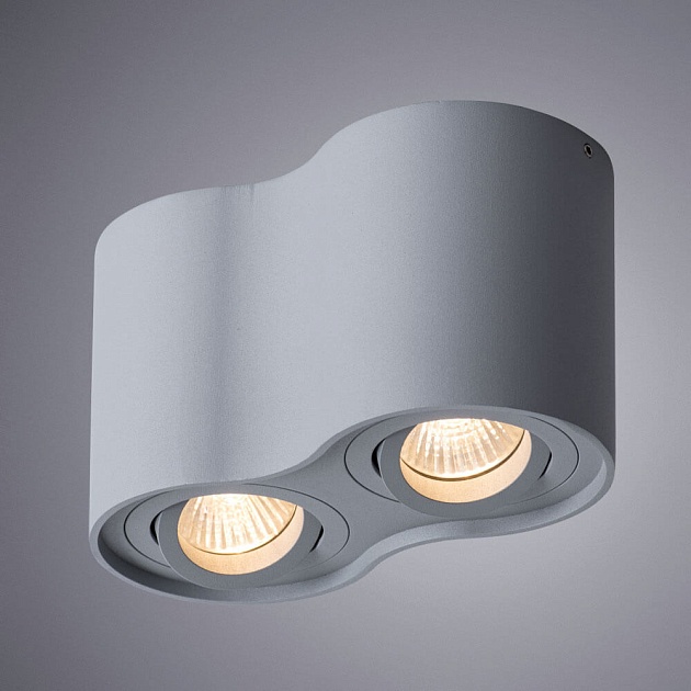 Потолочный светильник Arte Lamp Falcon A5645PL-2GY Фото № 2