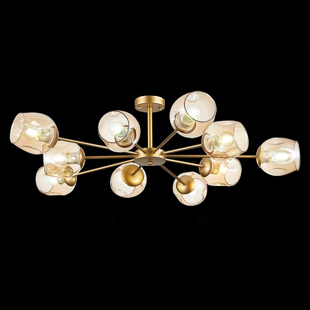 Потолочная люстра Evoluce Pallo SLE155412-10 Фото № 3