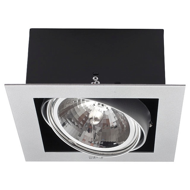 Карданный светильник Kanlux MATEO DLP-150-GR 4960 Фото № 