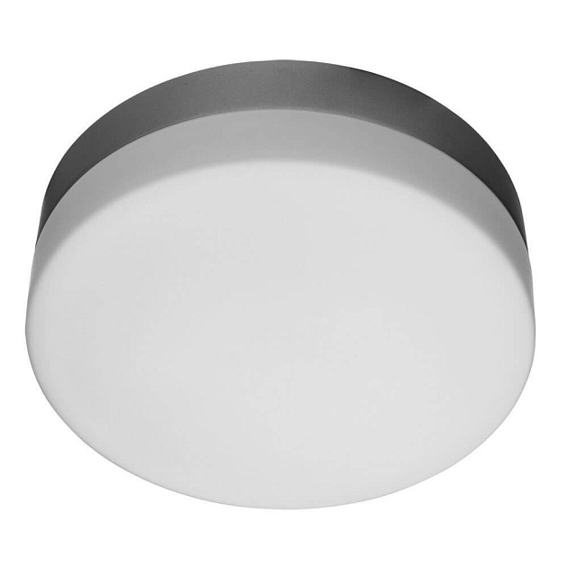 Потолочный светильник Arte Lamp Shirp A3211PL-2SI Фото № 