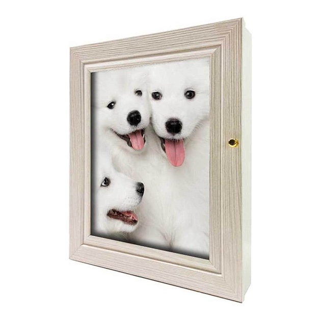Ключница Toplight 24х29х4,5см TL-KB7404 изображение Ключница Toplight 24х29х4,5см TL-KB7404 Фото №