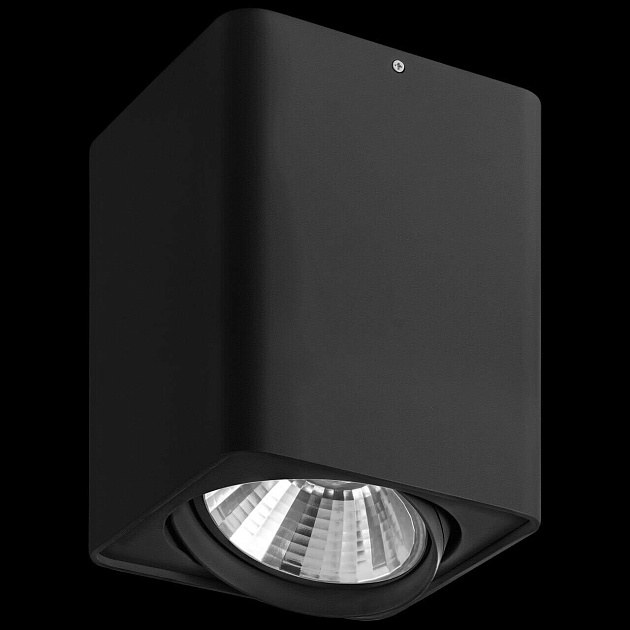 Потолочный светильник Lightstar Monocco 212637 Фото № 3