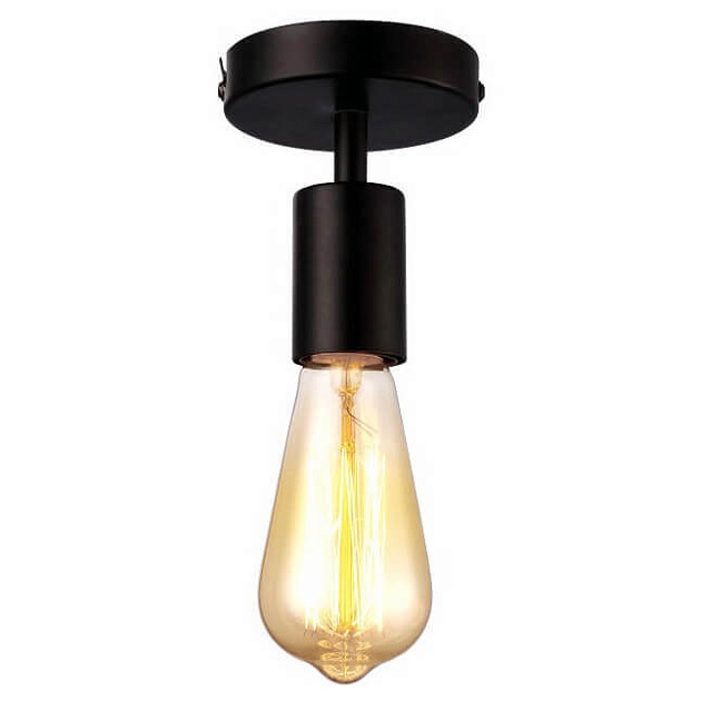 Потолочный светильник Arte Lamp A9184PL-1BK Фото № 