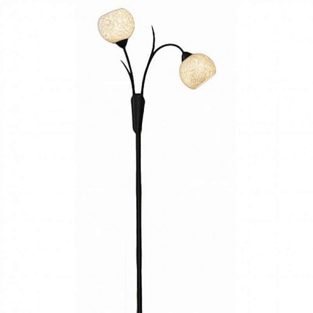 Торшер Lussole Bagheria LSF-6295-02 изображение Торшер Lussole Bagheria LSF-6295-02 Фото №