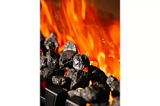 Электрокамин Elekam Avalon с очагом Velar 1110001 1