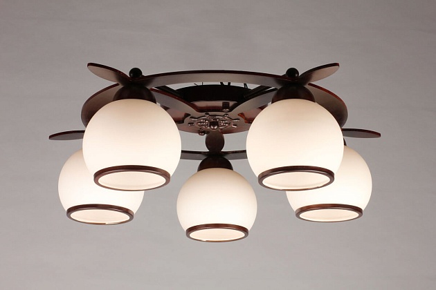 Потолочная люстра Omnilux OML-50507-05 изображение 2 Потолочная люстра Omnilux OML-50507-05 Фото № 2