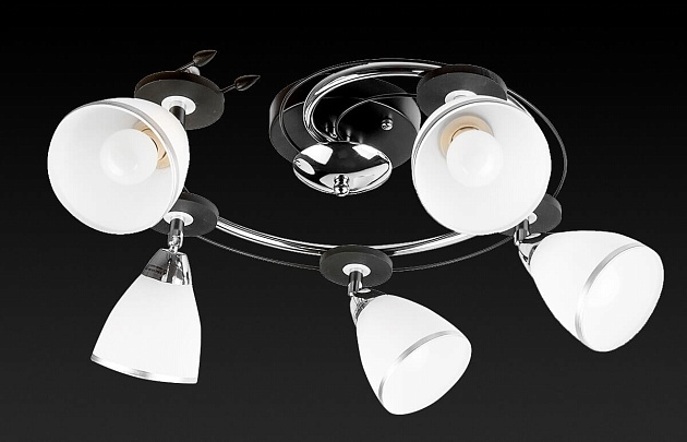 Спот Toplight Sara TL2730X-05BC изображение 2 Спот Toplight Sara TL2730X-05BC Фото № 2