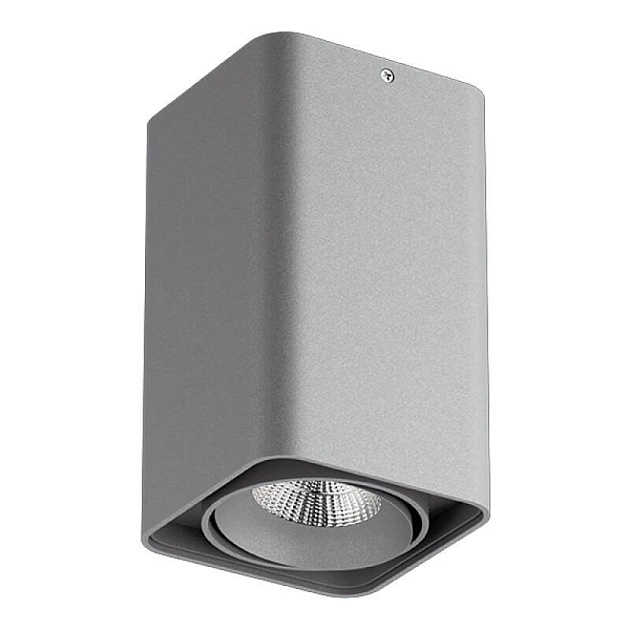 Потолочный светильник Lightstar Monocco 212539 изображение Потолочный светильник Lightstar Monocco 212539 Фото №