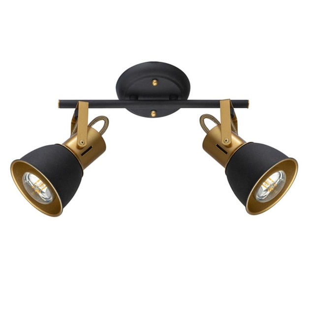 Спот Arte Lamp Jovi A1677PL-2GO изображение Спот Arte Lamp Jovi A1677PL-2GO Фото №