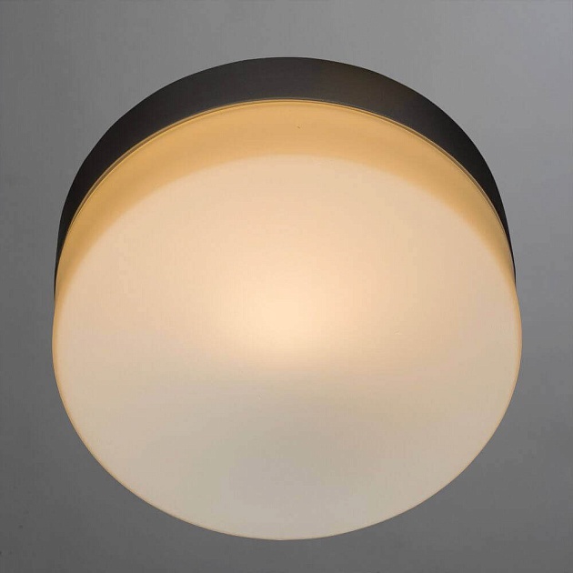 Потолочный светильник Arte Lamp Shirp A3211PL-1SI Фото № 2