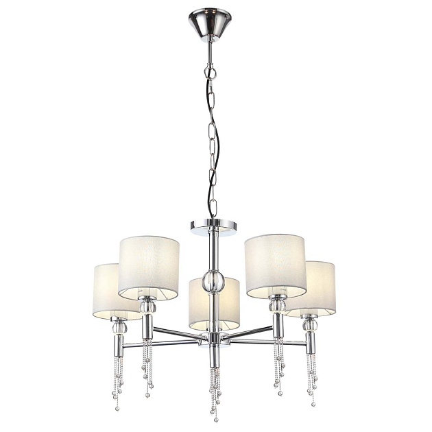 Подвесная люстра Evoluce Primma SLE105173-05 изображение Подвесная люстра Evoluce Primma SLE105173-05 Фото №