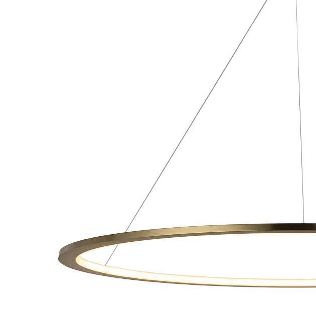 Подвесной светодиодный светильник Loft IT Ring 10014XXL Фото № 3