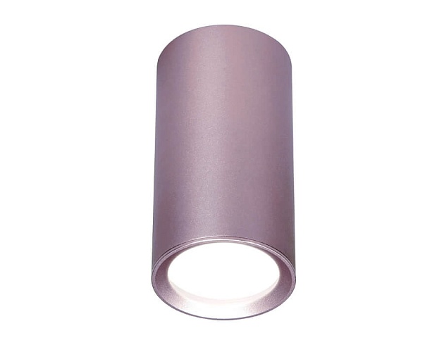 Потолочный светильник Ambrella light Techno Spot TN220 изображение Потолочный светильник Ambrella light Techno Spot TN220 Фото №