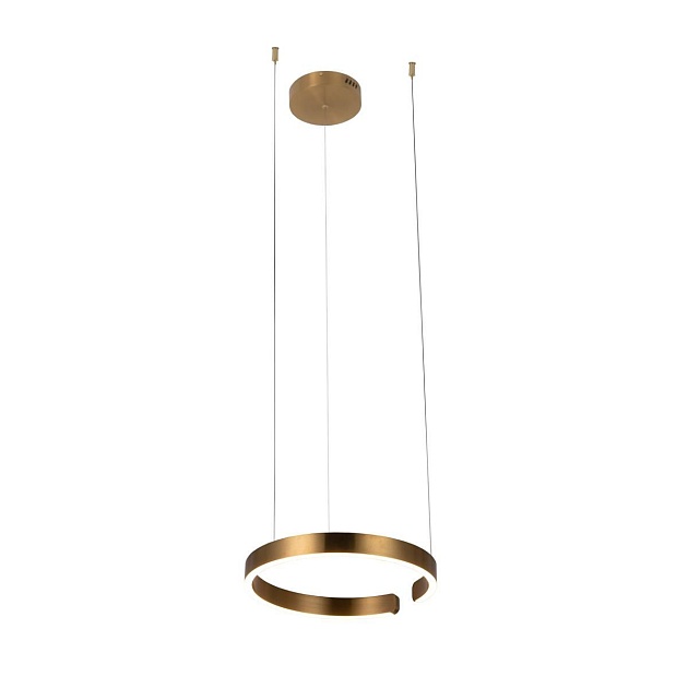 Подвесной светодиодный светильник Loft IT Ring 10013S Фото № 
