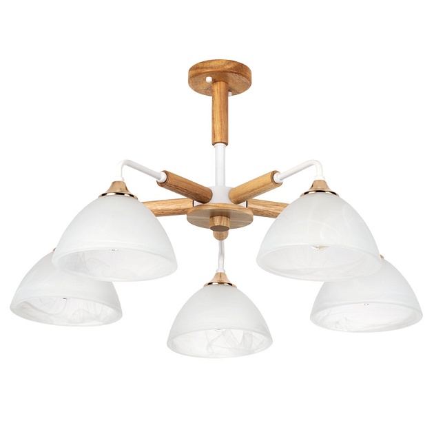 Потолочная люстра Arte Lamp Matthew A5032PL-5BR Фото № 