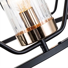 Подвесная люстра Arte Lamp Celaeno A7004SP-6BK 1