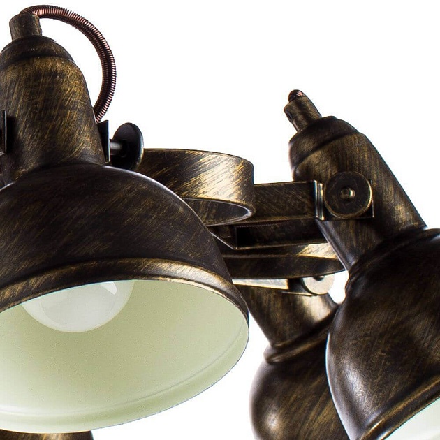 Потолочная люстра Arte Lamp Martin A5216PL-8BR Фото № 4