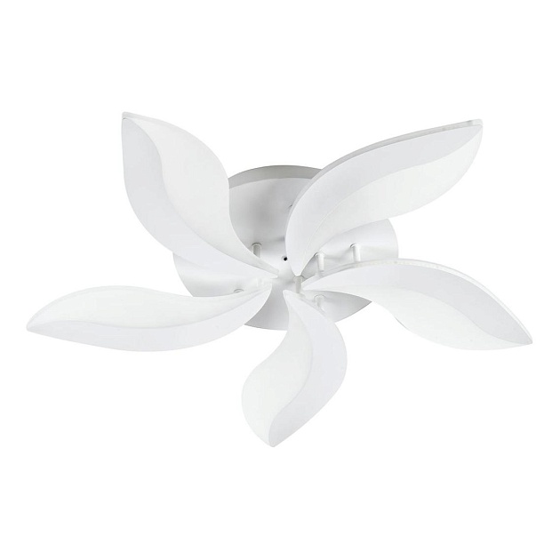 Потолочная светодиодная люстра Escada 10214/SG (60W) изображение Потолочная светодиодная люстра Escada 10214/SG (60W) Фото №