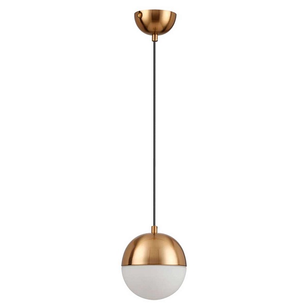 Подвесной светильник Odeon Light Pendant Pinga 4960/1 Фото № 