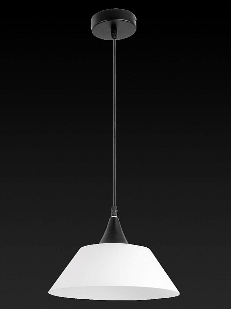Подвесной светильник Toplight Mabel TL4430D-01BL Фото № 2