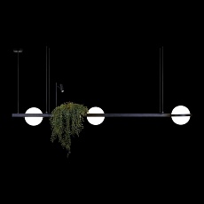 Подвесной светильник LOFT IT Jardin 10121/C 2