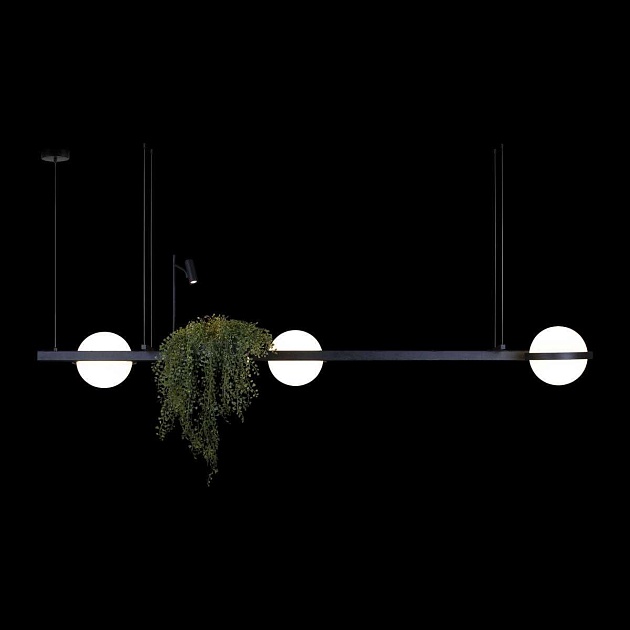 Подвесной светильник LOFT IT Jardin 10121/C Фото № 3