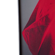 Картина Lumina Deco FP Red Hat 80-120 4