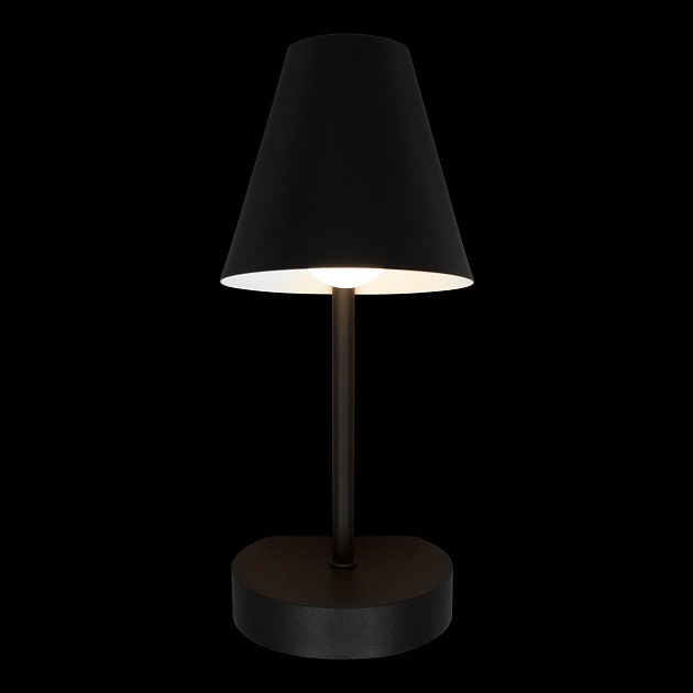 Бра Loft IT Shelf 10216/1W Black изображение 4 Бра Loft IT Shelf 10216/1W Black Фото № 4