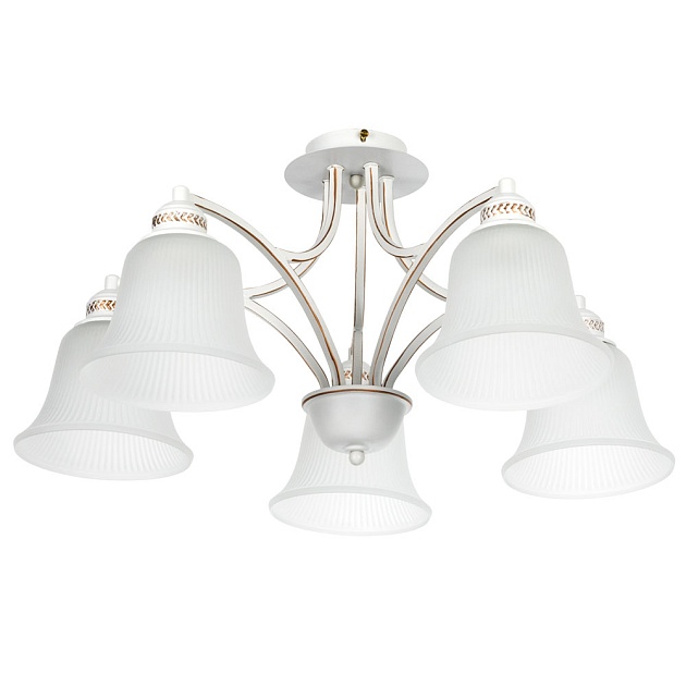 Потолочная люстра Arte Lamp Emma A2713PL-5WG Фото № 