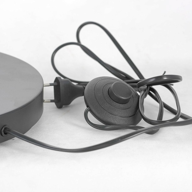 Торшер Lussole Lgo LSP-0590 изображение 4 Торшер Lussole Lgo LSP-0590 Фото № 4