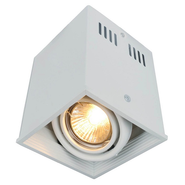 Потолочный светильник Arte Lamp Cardani A5942PL-1WH Фото № 
