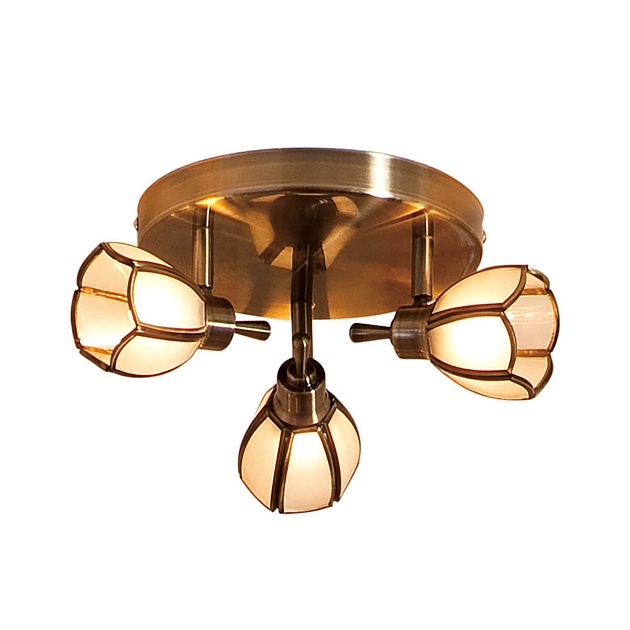 Спот Citilux Альтен CL522531 изображение Спот Citilux Альтен CL522531 Фото №