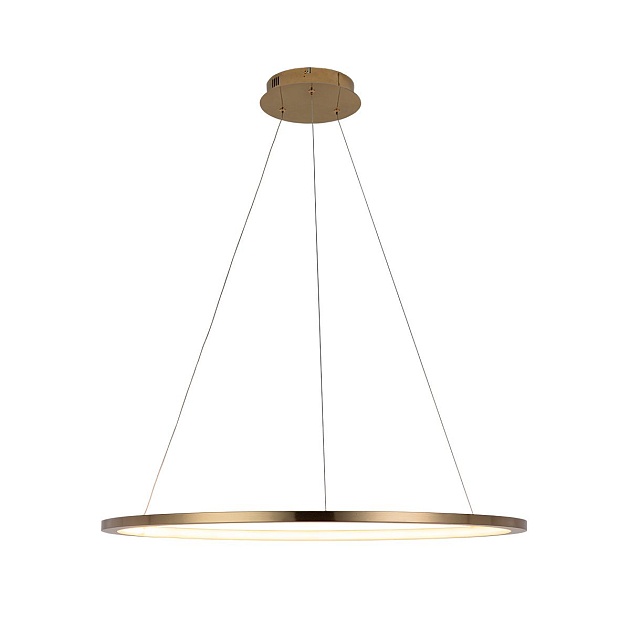 Подвесной светодиодный светильник Loft IT Ring 10014L Фото № 