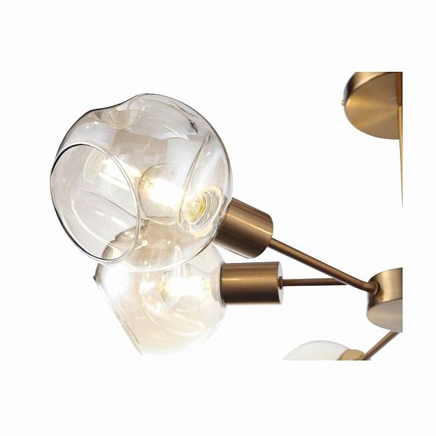 Потолочная люстра Evoluce Gentore SLE155302-06 изображение 5 Потолочная люстра Evoluce Gentore SLE155302-06 Фото № 5