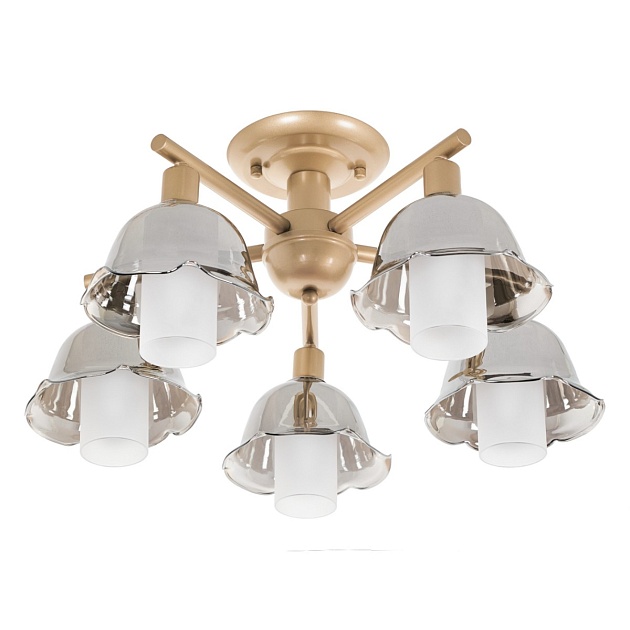Потолочная люстра MyFar Lisa MR1481-5C изображение 5 Потолочная люстра MyFar Lisa MR1481-5C Фото № 5