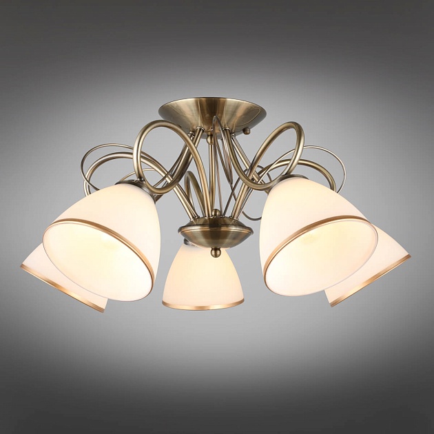 Потолочная люстра Omnilux Alimini OML-25307-05 изображение 6 Потолочная люстра Omnilux Alimini OML-25307-05 Фото № 6