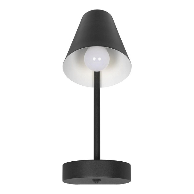 Бра Loft IT Shelf 10216/1W Black изображение 1 Бра Loft IT Shelf 10216/1W Black Фото № 1